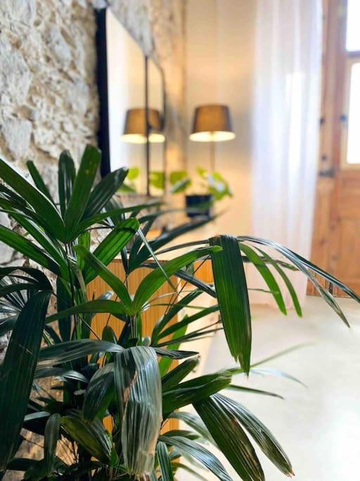 阿格特Casa Piedra Agaete别墅 外观 照片