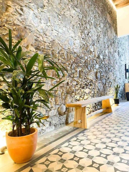 阿格特Casa Piedra Agaete别墅 外观 照片